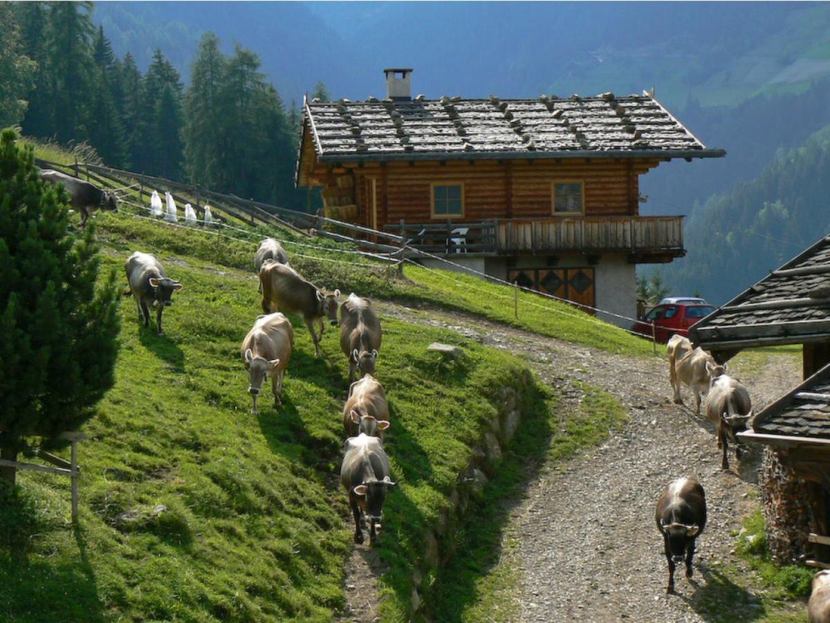 Ferienwohnung Maiernhof Bauernhof Ultental سان بانكرازيو دي أولتيمو المظهر الخارجي الصورة